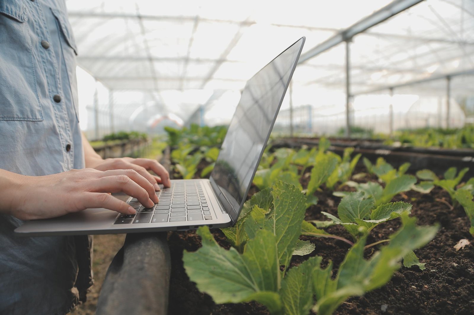 certificacion agroalimentaria