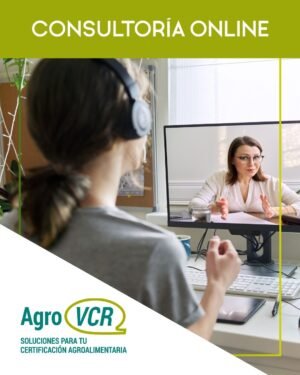 Consultoría online express